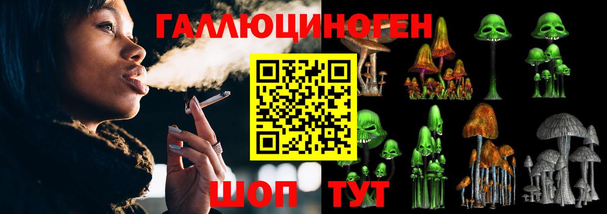 Псилоцибиновые грибы мухоморы Камень-на-Оби